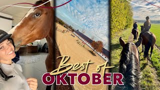 Freispringfails amp neue 🐴  BEST OF OKTOBER 2024 [upl. by Enavi365]