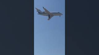 Bombardier Challenger 650 Arriving At LAX From San Jose CA 8124 laxplanespotting innout lax [upl. by Brennan295]