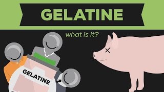 What is Gelatine Gelatin  Jello [upl. by Abernathy]