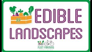 Edible Landscapes  Garden Installations by Fleet Farming [upl. by Ynnaj91]