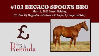 RTTR 2024  Hip 103 Becaco Spoons Bro [upl. by Nirat]