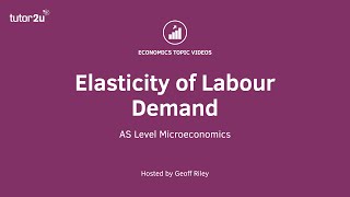 Elasticity of Labour Demand I A Level and IB Economics [upl. by Anegue471]