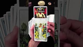 What You Need to Hear Right Now  Timeless Tarot Reading tarot universe short [upl. by Thamos528]