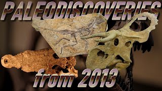 PALEODISCOVERIES from 2013 [upl. by Knute620]