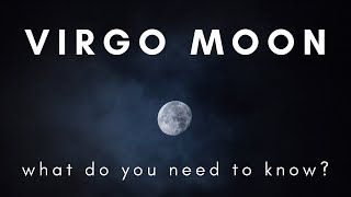 Virgo Moon ♍ Tarot Reading  What Do You Need to Know Right Now  November 2023 [upl. by Mathia]