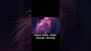 Demet Akalın  Rekor Slowed  Reverb [upl. by Wilburt]