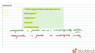 Heterogametes are found in  12  TEST 1  BIOLOGY  AAKASH INSTITUTE ENGLISH  Doubtnut [upl. by Yeh]