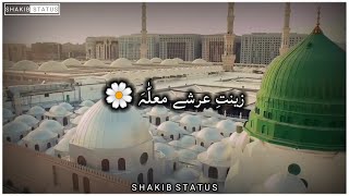 Jumma Mubarak whatsapp status  Ay ShahenshaheMadina  Best Salam whatsapp status [upl. by Straus14]