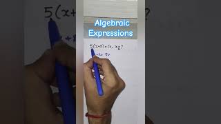 Algebraic Expressions Explained Visually maths algebra mathstricks mathematics math shorts yt [upl. by Ynney]