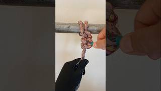 CLOVE HITCH amp 2 HALF HITCHES shortvideo shorts howtotie knottying [upl. by Davis]