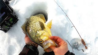 Searching for GIANT Panfish in a TINY lake [upl. by Aicats]