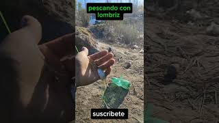 Pesca con lombriz pesca mendoza argentina mojarra arroyos [upl. by Erdnoid]