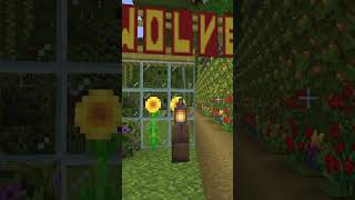 Zoo Wolf Habitat Tour  Minecraft Building Ideas Creative minecraft wolf wolves habitat [upl. by Selestina419]