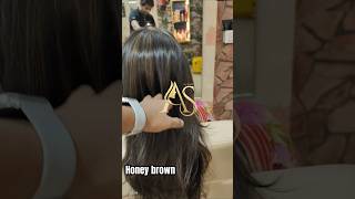 Honey brown shade hair highlights by attractionsalonbysam [upl. by Igenia]