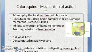 Pharmacology 899 b Chloroquine AntiMalarial Anti Malarial Loading dose drug malaria treatment [upl. by Avery267]