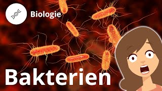 Aufbau einer Bakterienzelle – Biologie Duden Learnattack [upl. by Adnirolc]