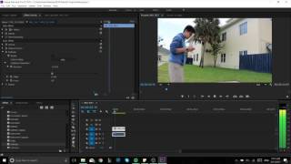 HOW TO REDUCE WIND NOISES IN PREMIERE PRO QUICKLY [upl. by Sellig187]