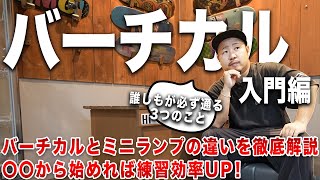 初心者の為のバーチカル入門編！バーチカルとミニランプの違いを徹底解説【スケートボード】【スケボー 初心者】 [upl. by Yemirej285]