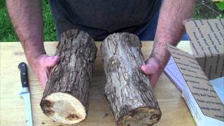 UNBOXING  SHIITAKE MUSHROOM LOG KIT [upl. by Zirtaeb]