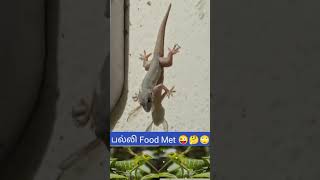 Palli Food Met quotShort Tamil [upl. by Airdnaid]