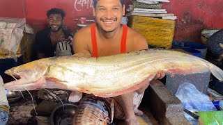 Unbelievable Giant Monster Wallago Attu Boal Fish Cutting in Bangladesh Fish Market at Knife [upl. by Burkitt]