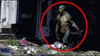 TOP 10 REPTILIANS CAUGHT ON CAMERA amp SPOTTED IN REAL LIFE [upl. by Sined]