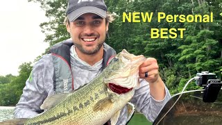 Watauga Lake bass fishing in June  Glide bait fishing for GIANT BASS [upl. by Yretsym102]