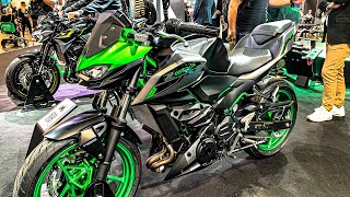 All New 500cc Motorcycles For 2024 [upl. by Aneleasor]