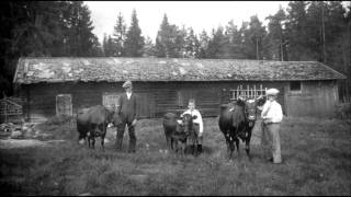 Svensk folkmusik  Låt Till Far [upl. by Hertberg]