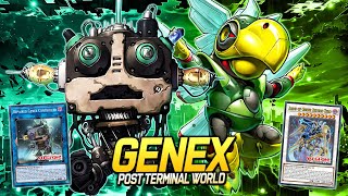 Genex Post Terminal World EDOPRO  Replays 🎮  Decklist ✔️ [upl. by Naval144]