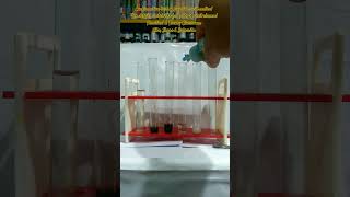 Fun with chemistry  Confirmative test of Sulphide acid radical shorts subscribe [upl. by Goerke]