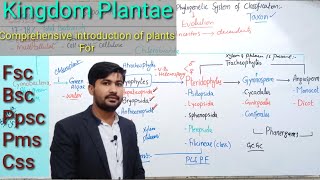 91 Kingdom plantae  Plants introduction for Fsc Bsc PPSC PMS and CSS [upl. by Esor]