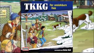 TKKG  Folge 185 Der unsichtbare Dieb [upl. by Yrreiht901]