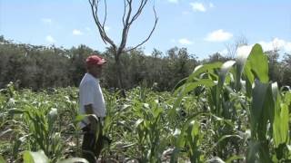 Razón Para Creer Un Documental sobre los Aluxes [upl. by Assenaj]