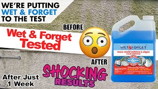 Wet amp Forget Tested  Before amp After  Real Results [upl. by Tisha]