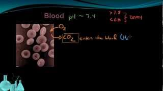 Chemistry 127 Buffers [upl. by Anehta207]