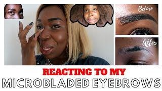 My Horrible MicroBlading Healing Process Day 1 to 12  I Got A Wound and Reaction [upl. by Alcot]