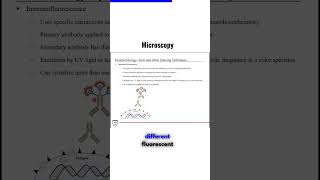 Microscopy Immunofluorescence [upl. by Akinnej]