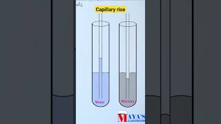 Capillary riseplusinephysicsshorts capillarity [upl. by Bobbie]