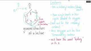 Lactones Naming [upl. by Butler]