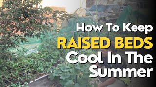 How To Keep Your Garden Cool During The Summer [upl. by Thora]