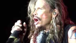 Aerosmith quotCryinquot FULL HD ♫ Live Milano Rho 2014 [upl. by Kreitman]