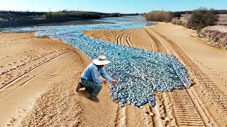 Momentos en la Naturaleza Que Ocurren una Vez Entre Mil Millones [upl. by Soll]