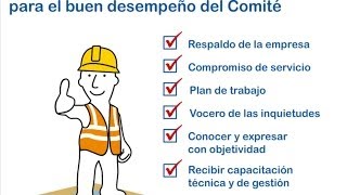 Comité de Seguridad y Salud en el Trabajo [upl. by Eveam]