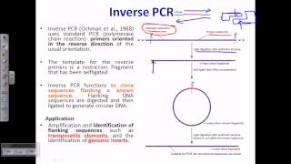 Inverse PCR [upl. by Cirilo827]