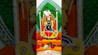 SHREE CHAR BHUJA NATH STATUS JINI JINI UDE RE GULAL FULL SCREEN STATUS [upl. by Darci]