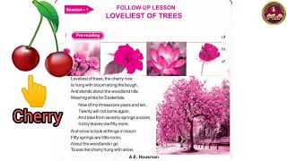 LOVELIEST OF TREES  Follow Up Lesson  Class  VII ENGLISH  ENGLISH READER  Odiamedium [upl. by Honoria99]