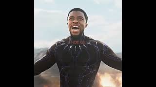 I Never Yielded  Black Panther edit  edit marvel blackpanther shorts fyp viral effort [upl. by Dolan121]