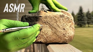 ASMR  Giving A Rock A Cranial Nerve Exam [upl. by Eddy]