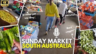 4K Walk Around South Australian Sunday Market  Cheap Veggies amp Fruits Haul for Family amp Guinea Pigs [upl. by Anale]